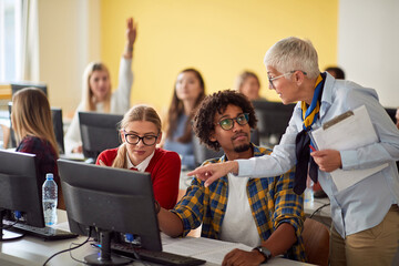 Wall Mural - Professor showing to pupils task on computer