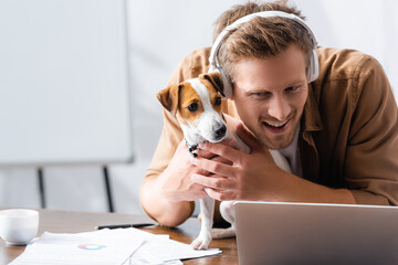 young businessman in wireless headphones cuddling jack russell terrier dog at workplace near laptop