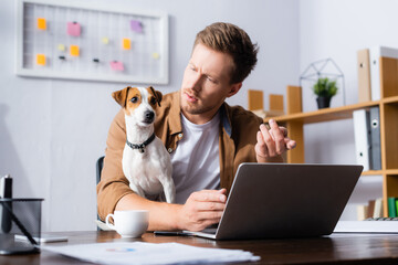 serious businessman sitting at workplace near laptop and looking at jack russell terrier dog