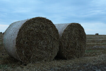 rural landscape two haystacks bales of hay straw lying on a field close up in warm or cold light 