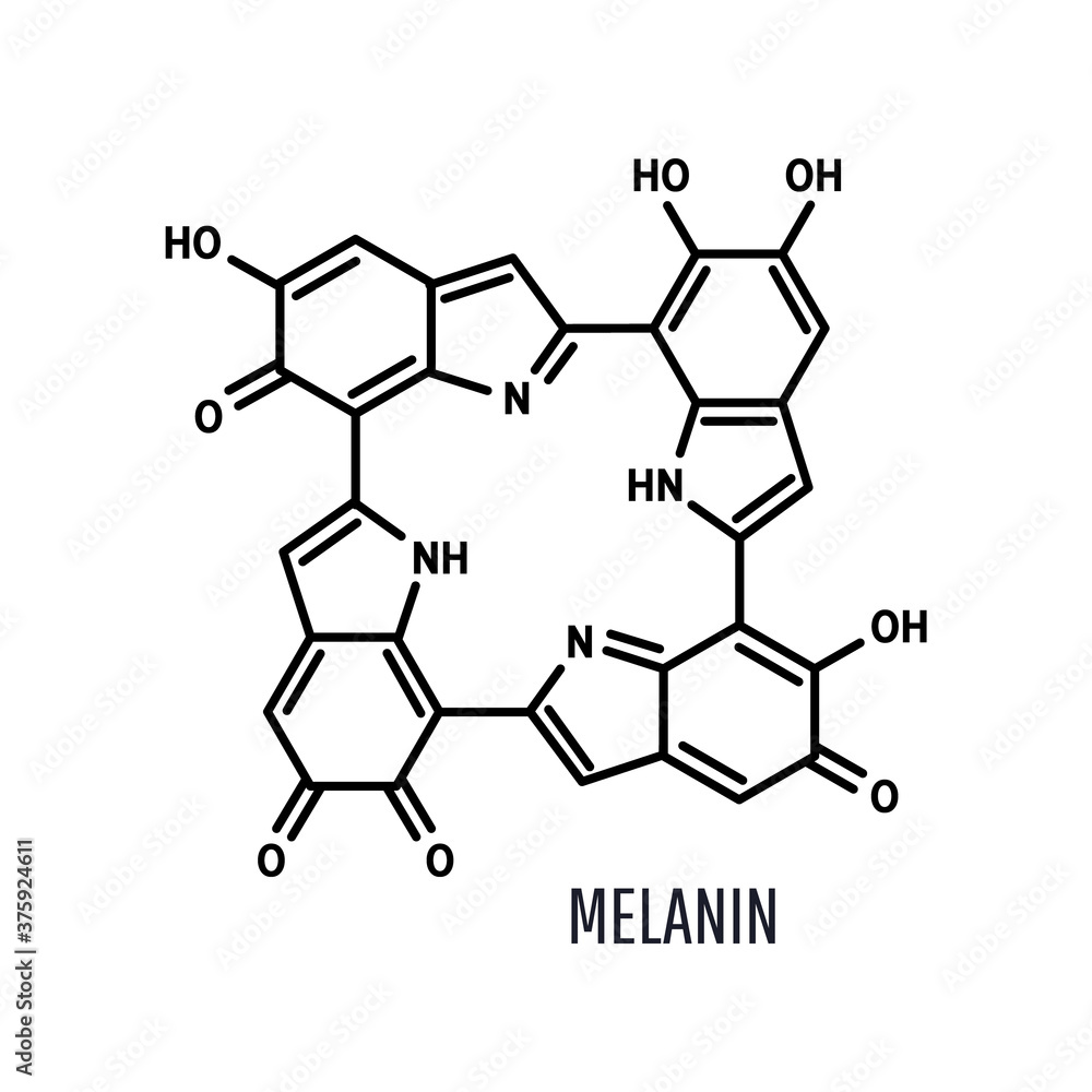 Melanin structural chemical formula on a white background Stock Vector ...