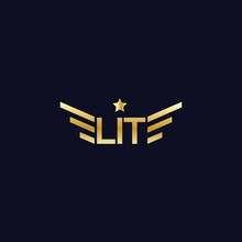 Simple, Elegant, Luxury, And Modern Logo Design. Gold Logotype Forming Wings And Star. Elite Logomark Or Wordmark Design. Vector Icon Illustration Inspiration