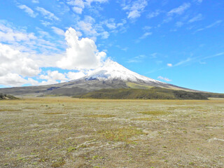 Wall Mural - Cotopaxi Volcano