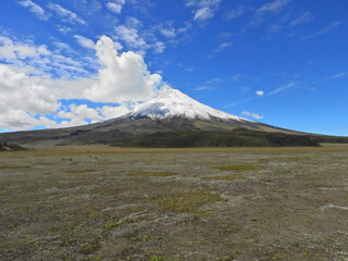 Wall Mural - Cotopaxi Volcano