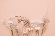 Romantic dried flowers on pink background.
