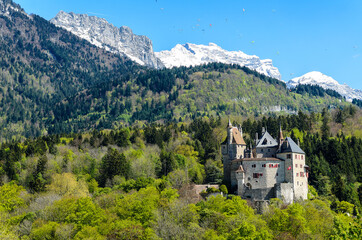 Wall Mural - View of the Castle of Menthon-Saint-Bernard (Château de Menthon-Saint-Bernard) surrounding the forest and the Alps. Switzerland