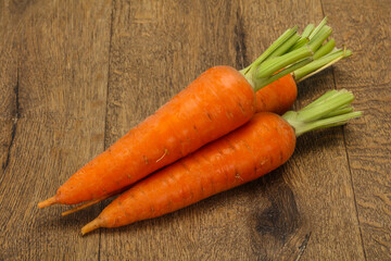 Three Young fresh ripe carrot