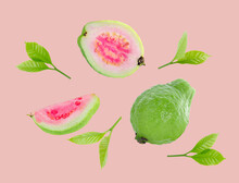 Guava Fruit Isolated On Pink Background.