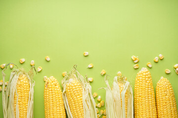 Ripe ears of corn on a green background, space for text. Flat lay.