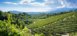 Fototapeta Młodzieżowe - Valdobbiadene Treviso, Italy: hills and vineyards