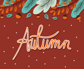 Wall Mural - Autumn blue and brown leaves with acorns vector design