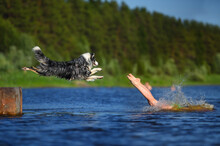 The Girl And Dog Jump Together To The Water