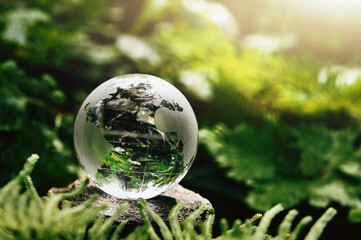 crystal globe glass resting on stone with green leaf and sunshine in nature forset. eco  environment concept