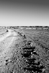 Canvas Print - Negev Desert in Israel