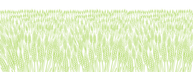 Cereal field. Leaves and ears of wheat. Agriculture straw. Horizontal banner background. Green grass meadow. Contour vector line. Bread wrapper.