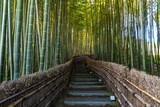 Fototapeta Dziecięca - Bamboo Forest pathway in Adashino Temple, Kyoto. 
