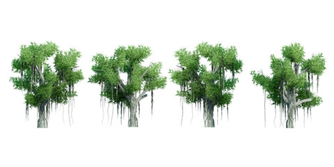 Side view collection of 3D Chinese banyan Trees Isolated on white background