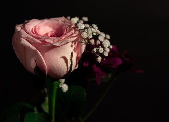 Sticker - Closeup shot of a beautiful bouquet on a black background - perfect for wallpaper