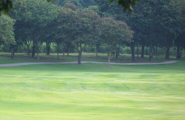 Wall Mural - Beautiful golf course at the sunset, sunrise time.