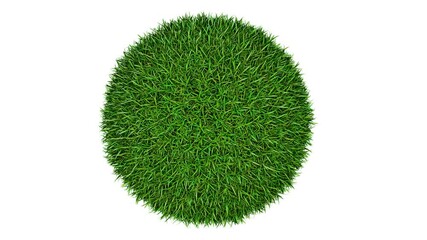 Wall Mural - sphere of grass and flowers with growth animation