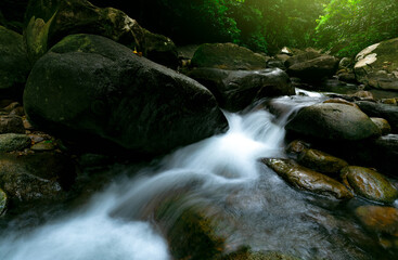 Wall Mural - beautiful waterfall in jungle. waterfall in tropical forest with green tree and sunlight. waterfall 