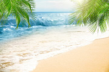 Sandy beach with palms near ocean on sunny day