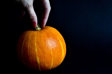 Female hand holding a pumpkin on a black background. Halloween mood. The concept of Halloween, holiday, harvest.