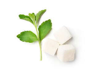 Flat lay (top view) of white sugar cubes with fresh Stevia leaves (Stevia rebaudiana Bertoni) on white background.