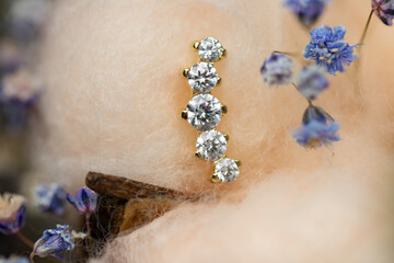 Beautiful piercing jewelry. Macro shot. Selective focus.