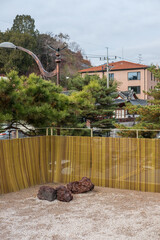 Canvas Print - Pine tree branch with cones on the rooftop, with Korean traditional building on the background