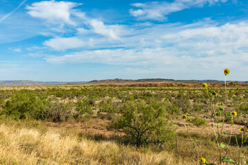 Poster - Red soils af Arizona desert land and vegetation