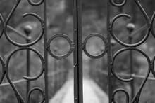 Ornate Wire Gate Background Free Stock Photo - Public Domain Pictures