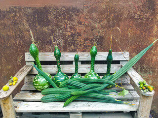 Wall Mural - Pile of green long pumpkins,  in a farm backyard. Autumn harvest at the countryside.