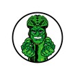 Green Monster Cyclist Cartoon Logo Mascot Element in Circle