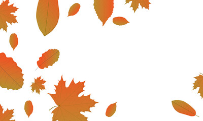 Wall Mural - The beautiful vector autumn background with orange leaves