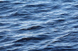 © akintevs - Sea waves