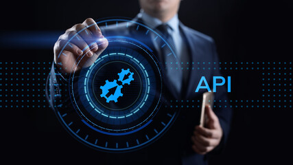 Wall Mural - api application programming interface development technology concept.