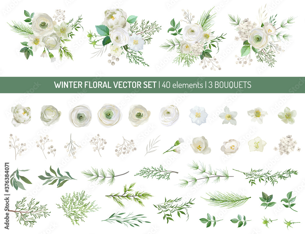 Elegant Evergreen pine branches, pale rose, white hydrangea, ranunculus flowers, eucalyptus, rowan berry, greenery leaves, floral elements.Trendy winter bouquetes.Vector isolated illustration set - obrazy, fototapety, plakaty 