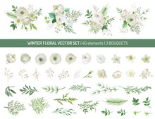 Elegant Evergreen Pine Branches, Pale Rose, White Hydrangea, Ranunculus Flowers, Eucalyptus, Rowan Berry, Greenery Leaves, Floral Elements.Trendy Winter Bouquetes.Vector Isolated Illustration Set