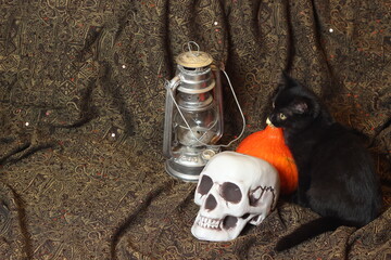 Black cat with halloween pumpkin, skull, lantern.Halloween still life.