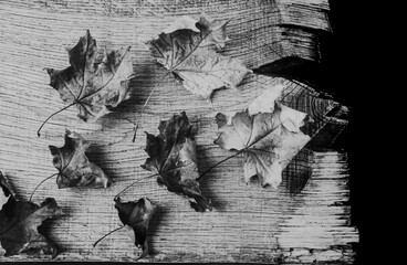 Autumn composition of dry leaves on an old Board