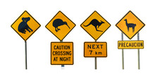 Animal Road Warning Signs