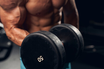 Wall Mural - Athletic young man exercising with dumbbells at the gym