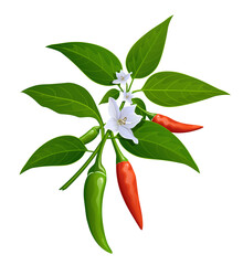 thai paprika red and green fresh with leaves and chili flower realistic design, isolated on white ba