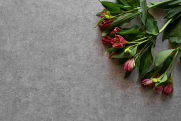 Wall Mural - Red flowers on cement grey background