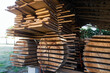Stacks of cut wood