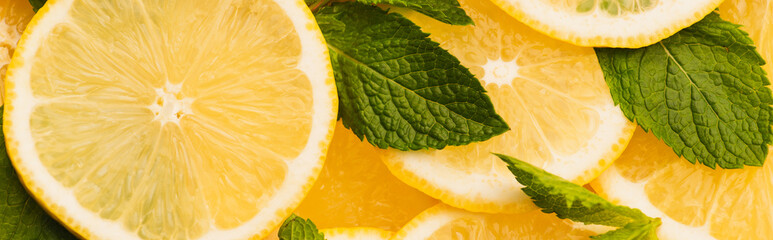 Wall Mural - top view of sliced yellow lemons with mint green leaves, panoramic shot