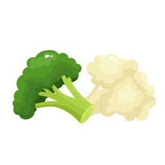 Wall Mural - Bright vector collection of colorful broccoli, culiflower.