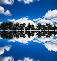 Wall Mural - Reflection of fir trees and blue sky with fluffy white clouds that looks like a sound-wave effect. 