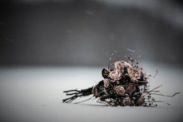 flowers in the snow